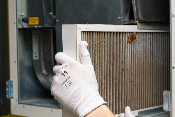 Best Home Air Vent Cleaning  in Stevenson, WA